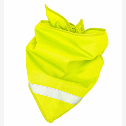 Żołty/Yellow - CH-0009